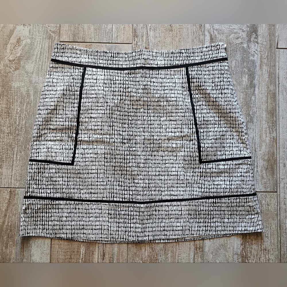 Ann Taylor skirt